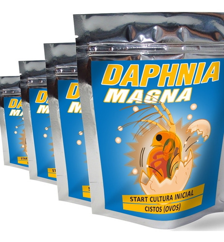 Start Daphnia Magna Cultura Inicial Cistos Ovos