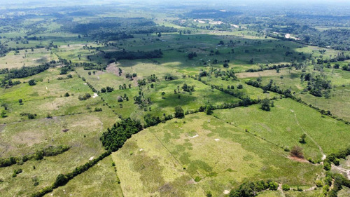 Imagen 6 de 16 de Finca Ganadera En Coloncito Excelente Tierras