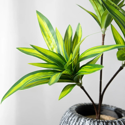 Nova Rama De Bambú De Plástico Con Forma De Palmera