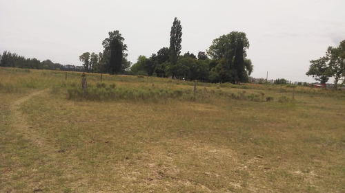 Hectárea De 5640 M2. Con Escritura Usd 65.000. Brandsen.