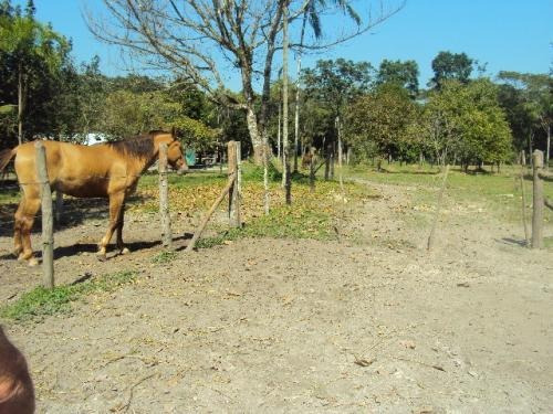 Sítio No Litoral Com 3 Alqueires Em Itanhaém/sp 1475-pc