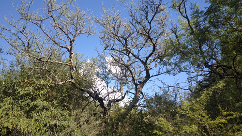 Se Vende Terreno De 1.25 Ha, Con Vista A Las Sierras (excelente Oportunidad) / Ubicación; Traslasierra, Cruz De Caña, Córdoba.