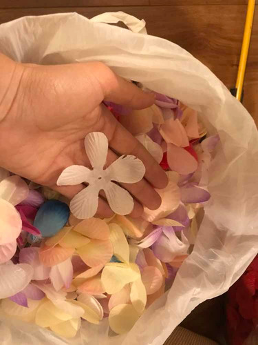 Pétalos Sueltos Para Artesanías