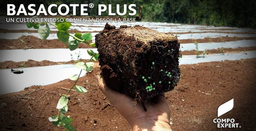 Basacote Fertilizante De Liberación Controlada X 2 Kg