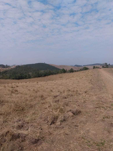 Imagem 8 de 10 de 08- Terreno De 10 Mil M2 Com Área De Preservação