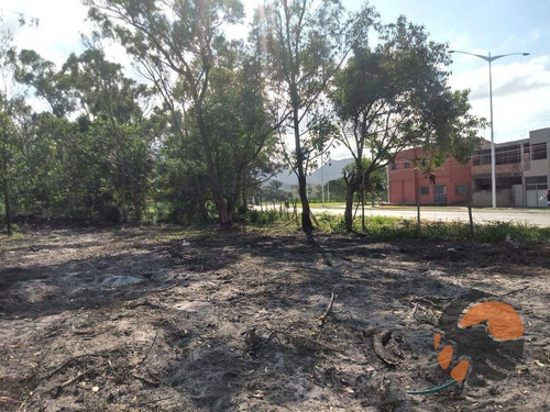 Terreno À Venda, 20.000m² De Frente Para Avenida Paris - Guarapari/es - Te0128