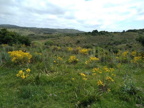Campo En Venta