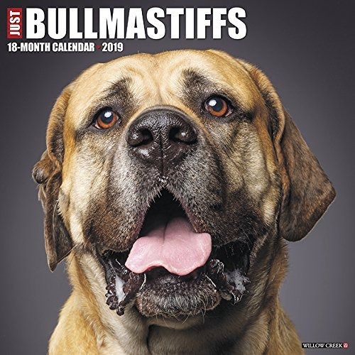 Bullmastiff 2019 Wall Calendar (dog Breed Calendar)