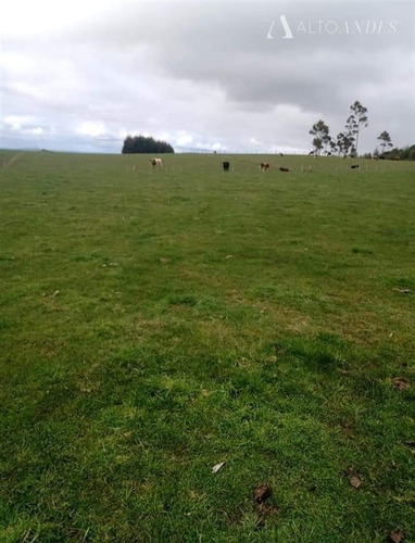 Imagen 18 de 19 de Sitio En Venta En Los Muermos