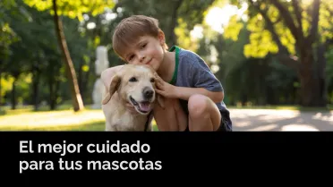 El mejor cuidado para tus mascostas