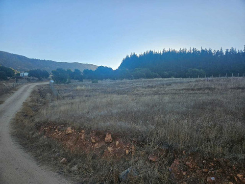 Parcela 5000 M2 A 20 Min. De Santa Cruz (64696)