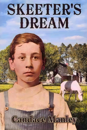 Skeeter's Dream, De Candance Manley. Editorial La Frontera Publishing, Tapa Blanda En Inglés