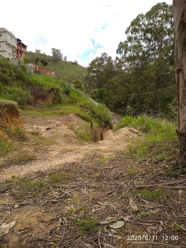 Imagen 6 de 14 de Terreno Colinas De Carrizal