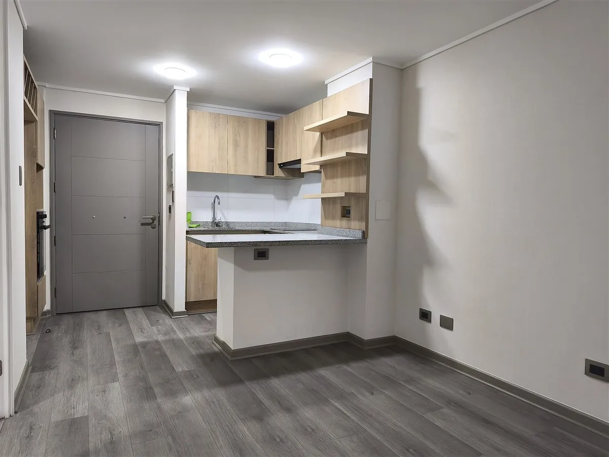 Imagen 3 de 21 de Arriendo Depto. 1d 1b, Santa Rosa, Santiago