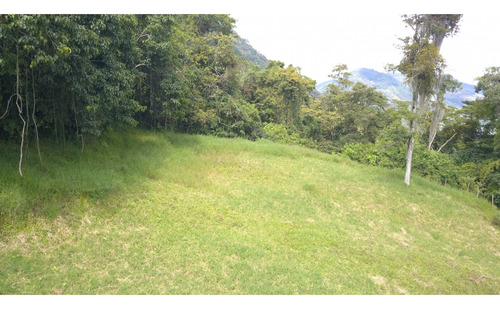 Lote En Amaga (suroeste Antioqueño)