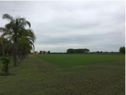 Imagen 4 de 5 de Terreno En Venta Palmitos