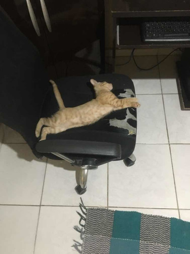 Computador