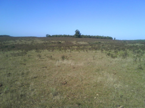 Campo En Cuchilla Alta Dueño Vende