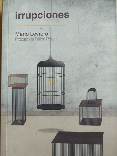 Irrupciones Mario Levrero