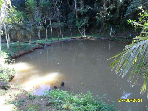 Imagem 2 de 14 de Excelente Chácara Com Piscina E Lagos Cod: 4448