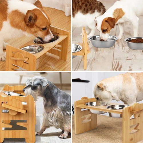 Comedero Para Perros Y Gatos Con Base Elevada Ajustable