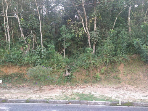 Terreno À Venda, 960 M² Por R$ 265.000,00 - Jardim Dos Ypês - Embu Das Artes/sp - Te0275