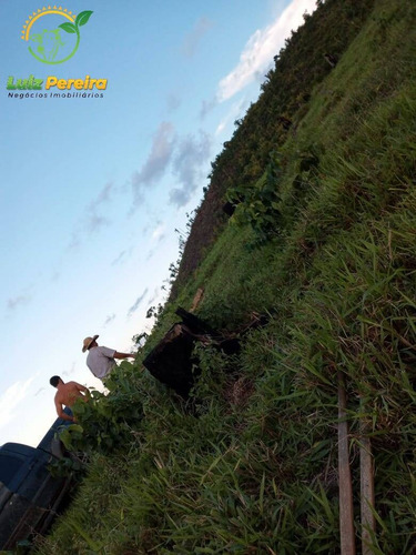 Imagem 8 de 15 de Fazenda À Venda Em Colniza -mt - 629,2 Hectares (dupla Aptidão) - 2108