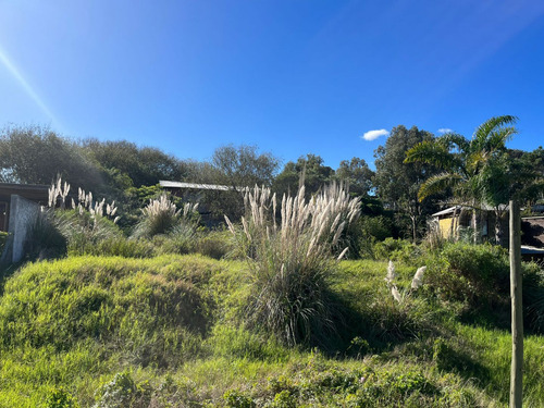 Imagen 5 de 8 de Terreno En Venta En La Juanita