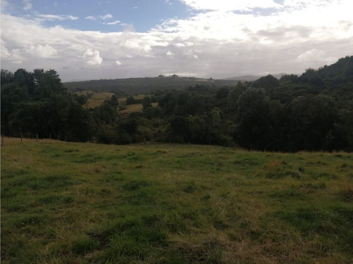 Se Vende Campo Con Casa Rustica Y Cabañas En Sector Coquiao
