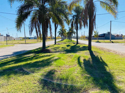 Vendo Terreno En Tierra De Sueños Puerto - Manzana 14