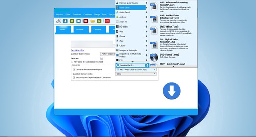 Combo Com 2 Chaves Key Allavsoft Video Downloader