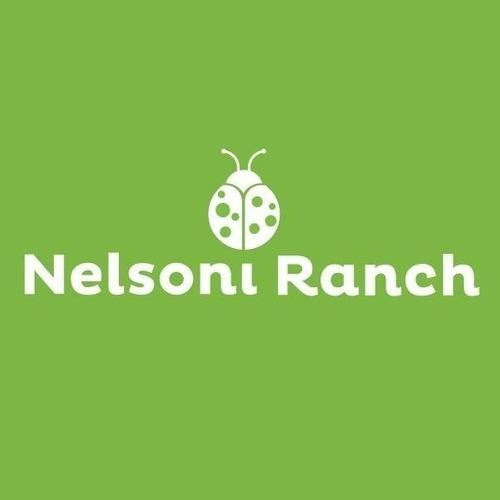 Imagen 5 de 5 de Marlo Sanitario Para Litera De Gatos 1,2 Kg Nelsoni Ranch