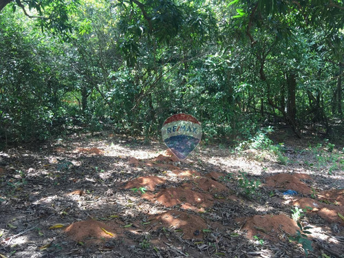 Terreno À Venda, 17520 M² - Pium (distrito Litoral) - Parnamirim/rn - Te0030