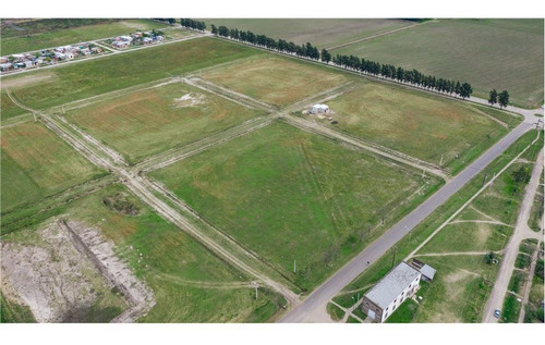 Imagen 10 de 11 de Terrenos En Venta Loteo Vicentin Avellaneda