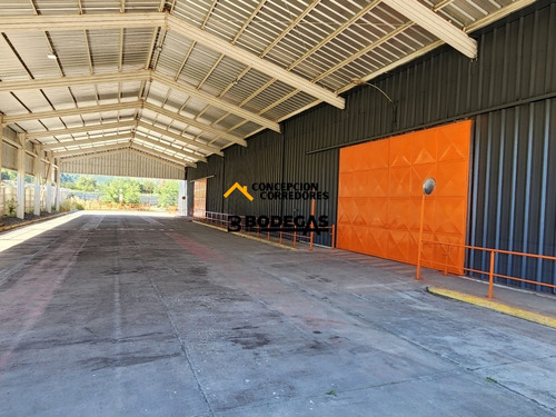 Arriendo Bodega De 750 M2 Con Of. En Ruta 5 Sur, Lautaro.