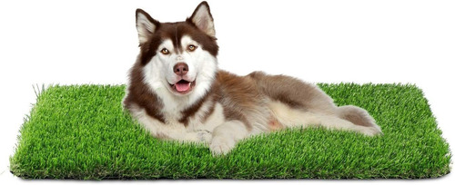Alfombrilla Fezep Grass, Profesional, Para Perros, 1 X 0,50
