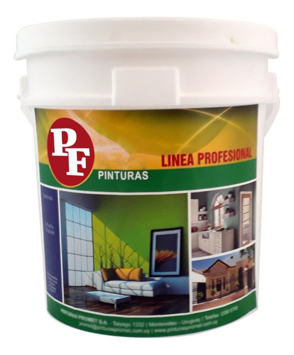 Pintura Cielos Rasos Anti Hongo Paredes 20lts Pf + Rodillo