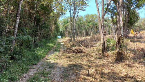 Imagem 14 de 14 de Vm41- Oportunidade! Lote A 1km Da Represa!