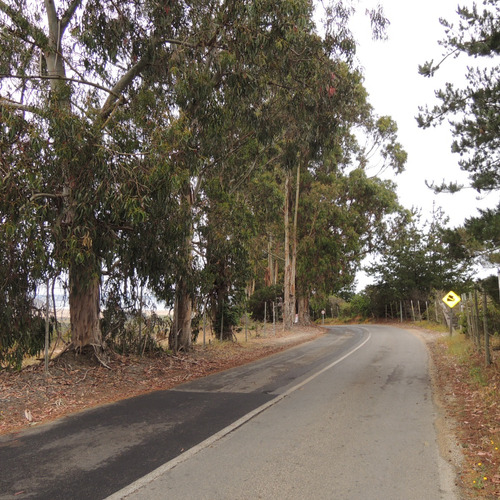 14.000 Mt En Loma Con Vista Al Valle Y Playa En Tunquen