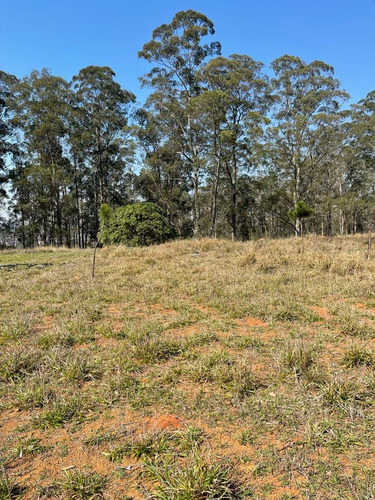 Imagem 5 de 10 de Terrenos Na Região Do Jaceguava