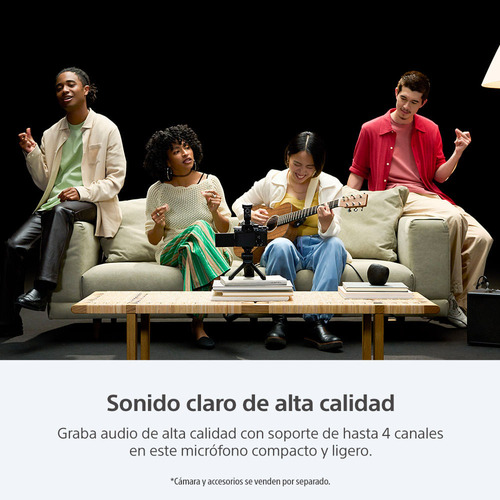 Micrófono Direccional Sony Para Cámara Ecm-m1