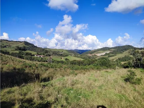 Finca En Venta Carmen De Viboral, Vía La Unión Antioquia 50 Cuadras.