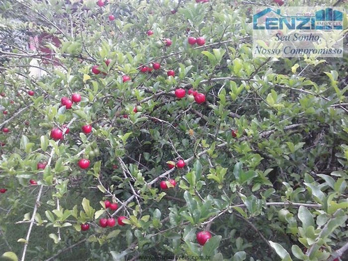Imagem 12 de 12 de Chácaras Em Condomínio À Venda Em Bragança Paulista/sp - Compre O Seu Chácaras Em Condomínio Aqui! - 1393764