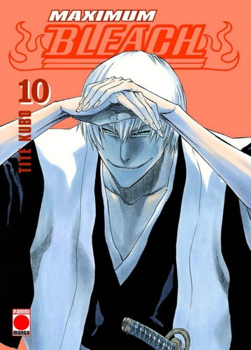 Imagen 1 de 1 de Maximum Bleach 10