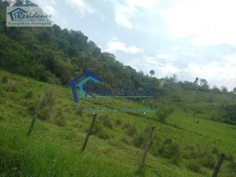 Imagem 4 de 30 de Sítio À Venda, 86000 M² Por R$ 2.000.000,00 - Barrinha - Cabreúva/sp - Si0001