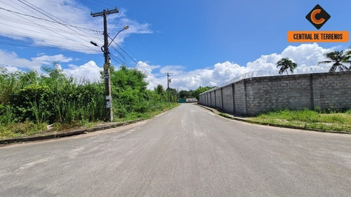 Imagem 3 de 5 de Terreno Em Abrantes - Te00563 - 71035578