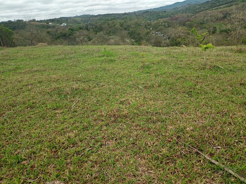 Imagem 1 de 8 de 16- Lotes 100% Documentados, Arujá-santa Isabel