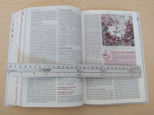 Libro La Biblia Joven Catolica - Pasta Flexible Plastico