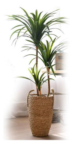 Cesta Tejida De Ratán Para Plantas, Maceta, Talla S
