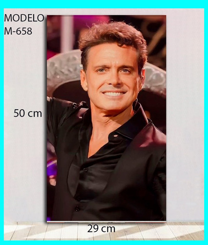 Cuadro Decorativo Luis Miguel 29x50 Cm Musica El Sol Luismi 